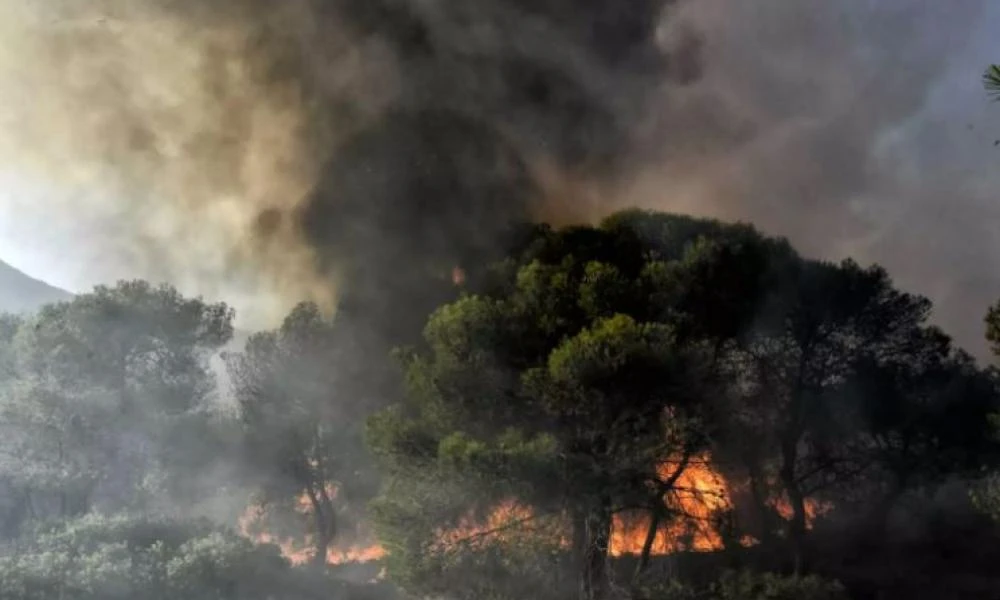 Πήλιο: Φωτιά στο Μούρεσι - Ισχυροί άνεμοι στο σημείο
